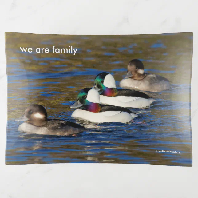 Getting My Ducks in a Row: Four Buffleheads Trinket Tray