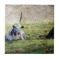 Resting Dairy Cow Tile