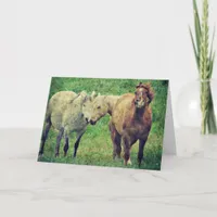 Funny Horses, Birthday Card