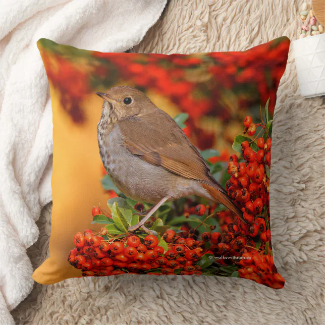 Hermit Thrush Songbird on the Scarlet Firethorn Throw Pillow