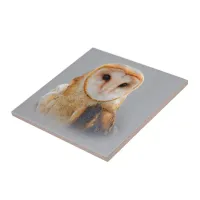 A Beautiful Serene Barn Owl Ceramic Tile