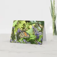 Butterfly on Lavender| Thinkin of You  Card