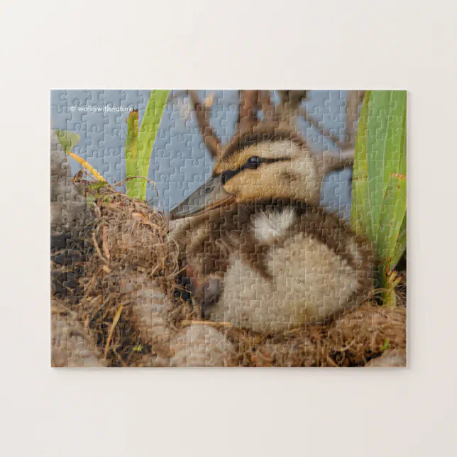 A Cute and Precocious Mallard Duckling Jigsaw Puzzle