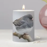 Slate-Colored Dark-Eyed Junco on the Pear Tree Pillar Candle