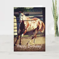 Paint Horse, Birthday Card