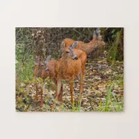 Stunning Trio of Blacktail Deer in the Forest Jigsaw Puzzle