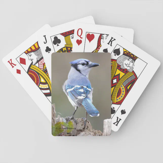 Cute Blue Jay Songbird on Treestump Poker Cards