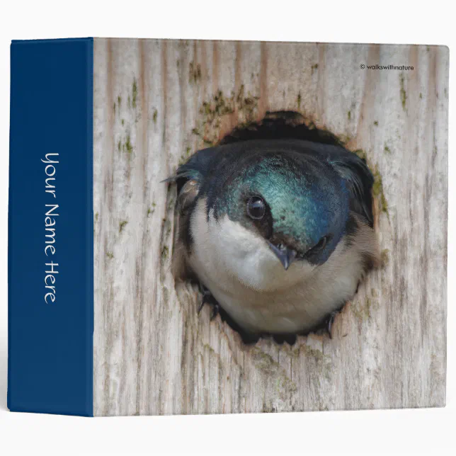 Tree Swallow Songbird in a Nestbox 3 Ring Binder