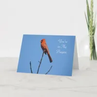 You're in My Prayers | Cardinal Photography Card