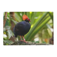 Profile of a Roul-Roul Crested Wood Partridge Placemat