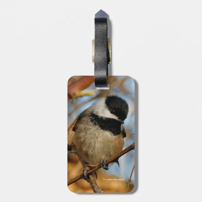 Cute Hopeful Black-Capped Chickadee Songbird Luggage Tag