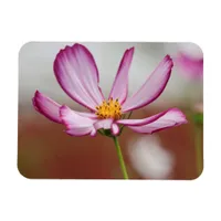 Purple Garden Cosmo Flower Close-up Magnet