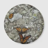 The 3 Butterflies Magnet