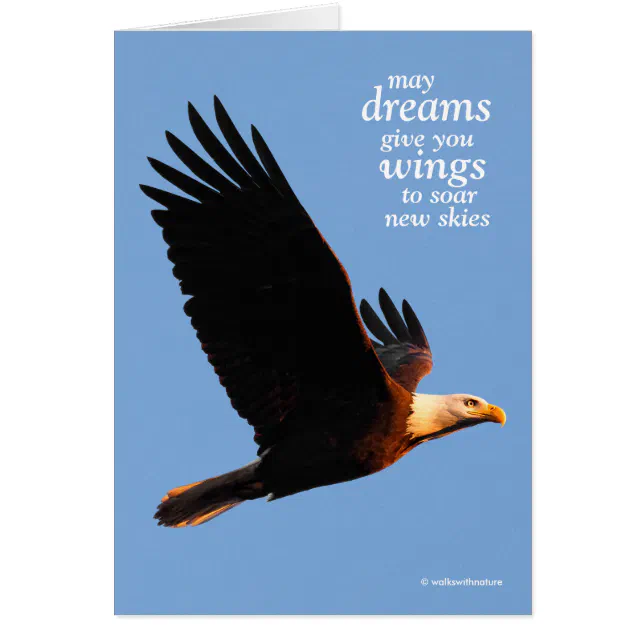 Inspirational Bald Eagle in Winter Sunset Flight