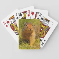 Cute Columbian Ground Squirrel in the Grass Playing Cards
