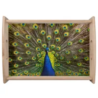 Colorful peacock serving tray