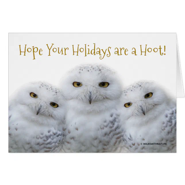 Dreamy Snowy Owls Christmas Family Have a Hoot