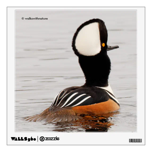 A Curious Hooded Merganser Duck Wall Decal