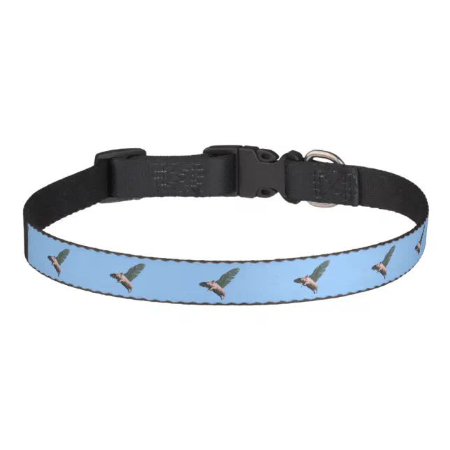 Cute Angel Pig Flying in the Sky Pet Collar