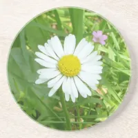 Pretty Little White and Yellow Miniature Daisy Coaster