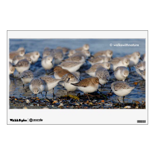 Cute Dunlins Sanderlings Sandpipers at the Beach Wall Decal