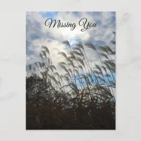 Nature Photography| Missing You  Postcard