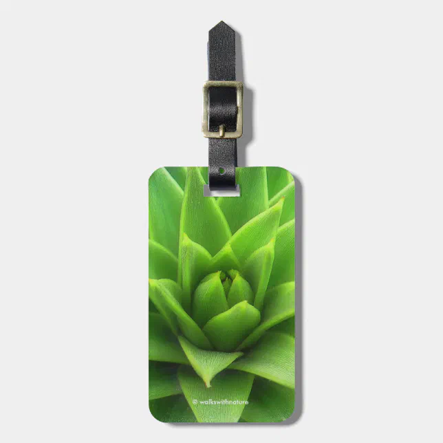 Stunning Chilean Pine Monkey Puzzle Tree Luggage Tag