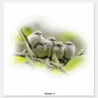 Heartwarming Cute Bushtits Songbirds Family Photo Sticker