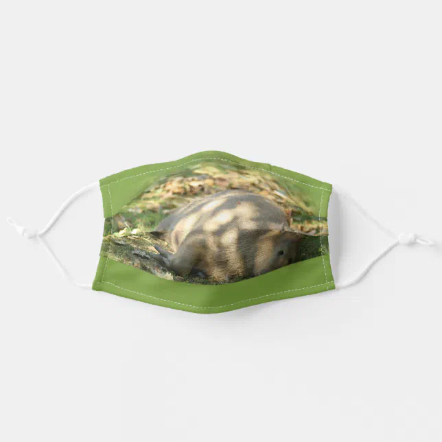 A Cute Capybara Dreams in the Summer Sun Adult Cloth Face Mask