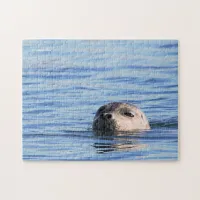 Funny Harbor Seal Periscopes the Pier Dock Jigsaw Puzzle