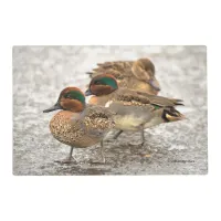 Cute Little Trio of Green-Winged Teals Placemat