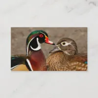 Beautiful Touching Moment Between Wood Ducks Business Card