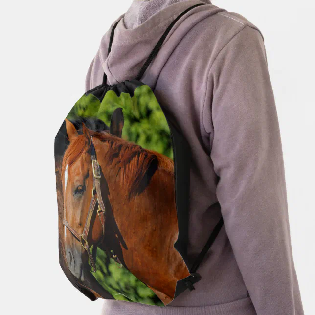 Two Beautiful Chestnut Horses in the Sun Drawstring Bag