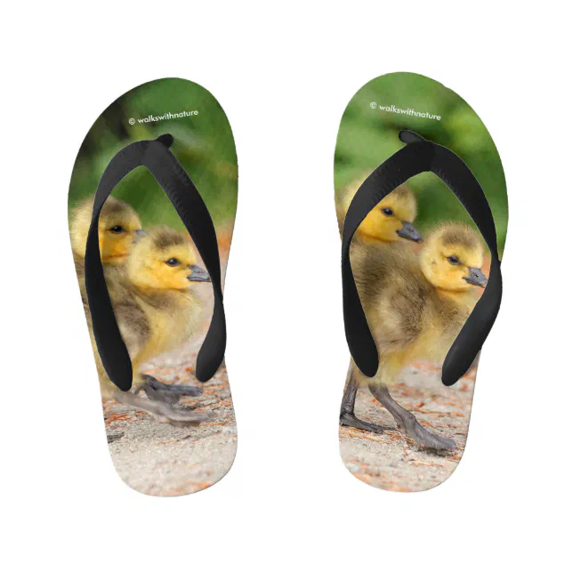 Cuteness on Parade: Canada Goose Goslings Kid's Flip Flops