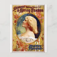 Selden's Funny Farce A Spring Chicken Postcard