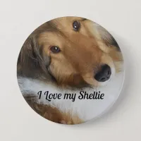 I Love my Sheltie Button