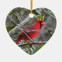 Pretty Personalized Cardinal Heart ornament
