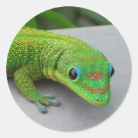 Gold Dust Day Gecko – Audition and Get Some Gecko Classic Round Sticker