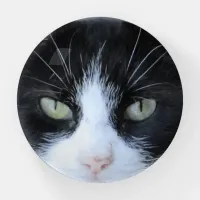 Personalized Cat Photo Paper Weight