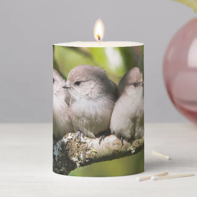 Cute Baby Bushtit Songbirds in the Pear Tree Pillar Candle