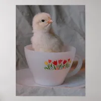 Chick in Vintage Teacup Poster