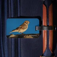 Lapland Longspur on a Sunlit Log Luggage Tag