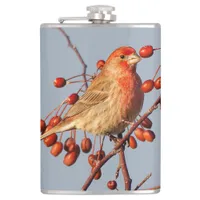 House Finch with Hawthorn Berries Flask