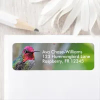 Stunning Anna's Hummingbird on Plum Tree Label