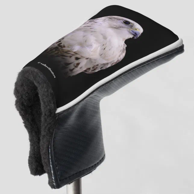 Vignetted Portrait of an Inquisitive Saker Falcon Golf Head Cover