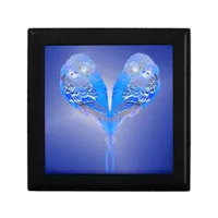 Blue budgie - personalize it!  gift box