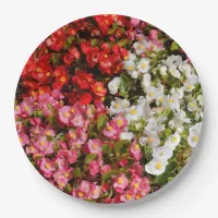 Colorful Wax Begonias Paper Plates