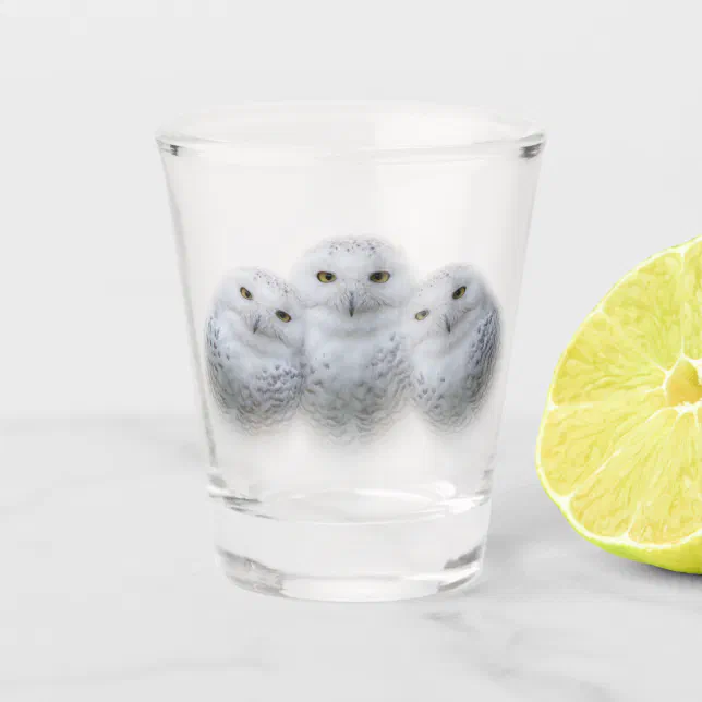 Dreamy Wisdom of Snowy Owls Family Shot Glass