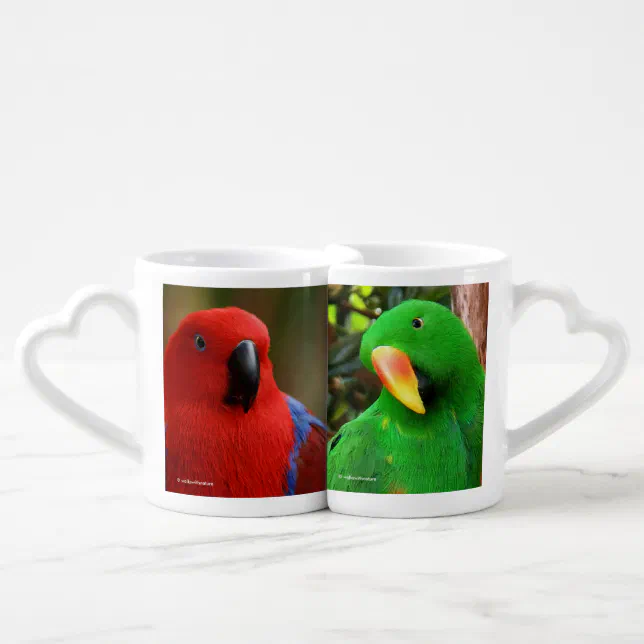 Eclectus Parrots Coffee Mug Set