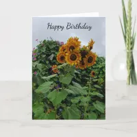 Happy Birthday Sunflowers Photograpy Card